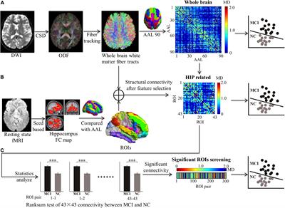 Automated Classification of Mild Cognitive Impairment by Machine Learning With Hippocampus-Related White Matter Network